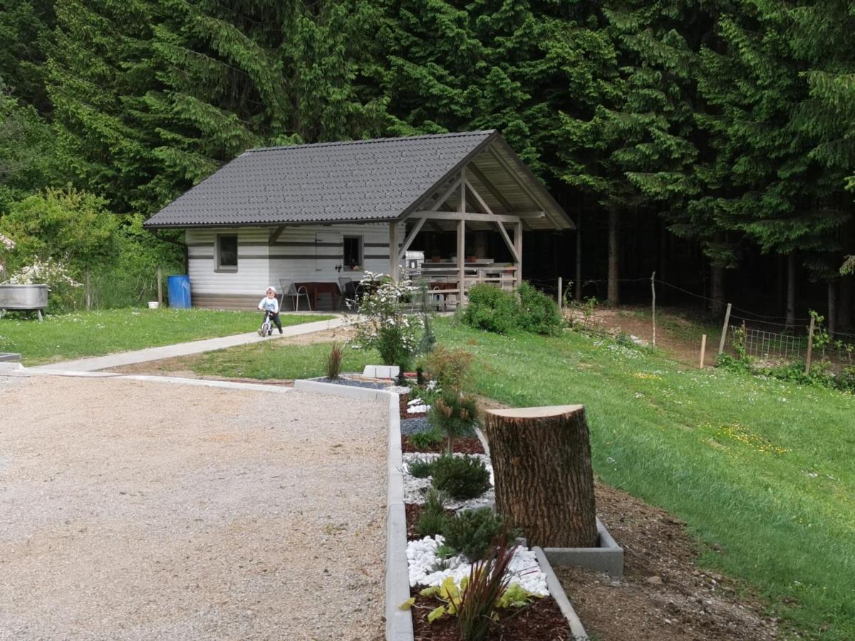 Hotel Gostilna S Prenocisci Pav à Rakek Extérieur photo